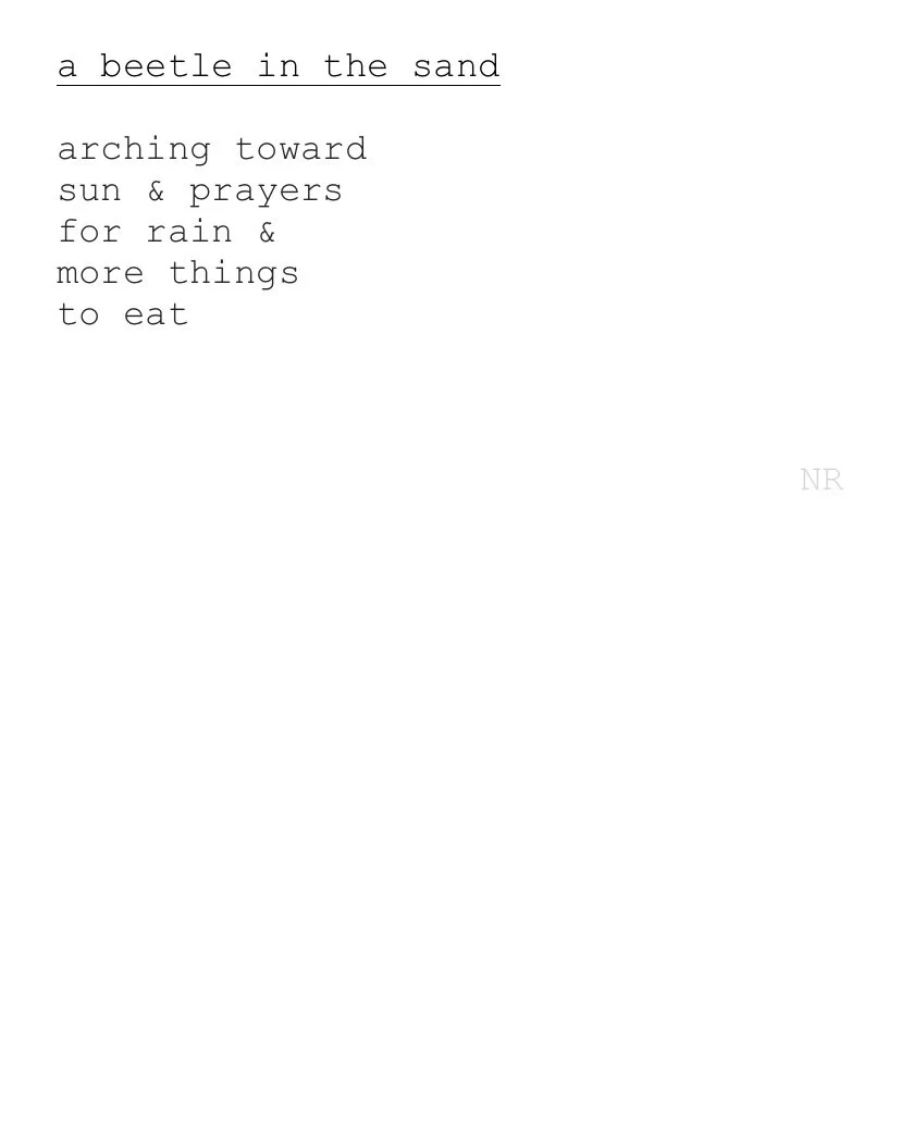 day 176: a beetle in the sand