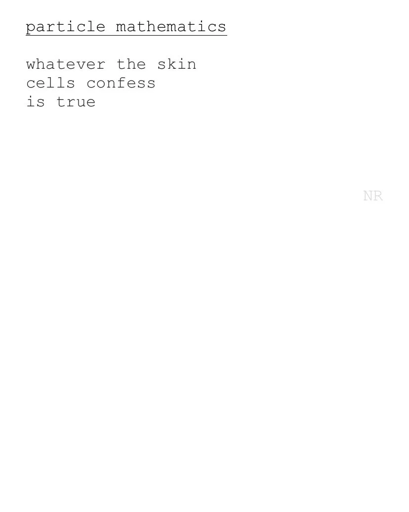 day 194: particle mathematics