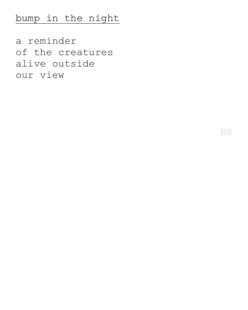 day 207: bump in the night