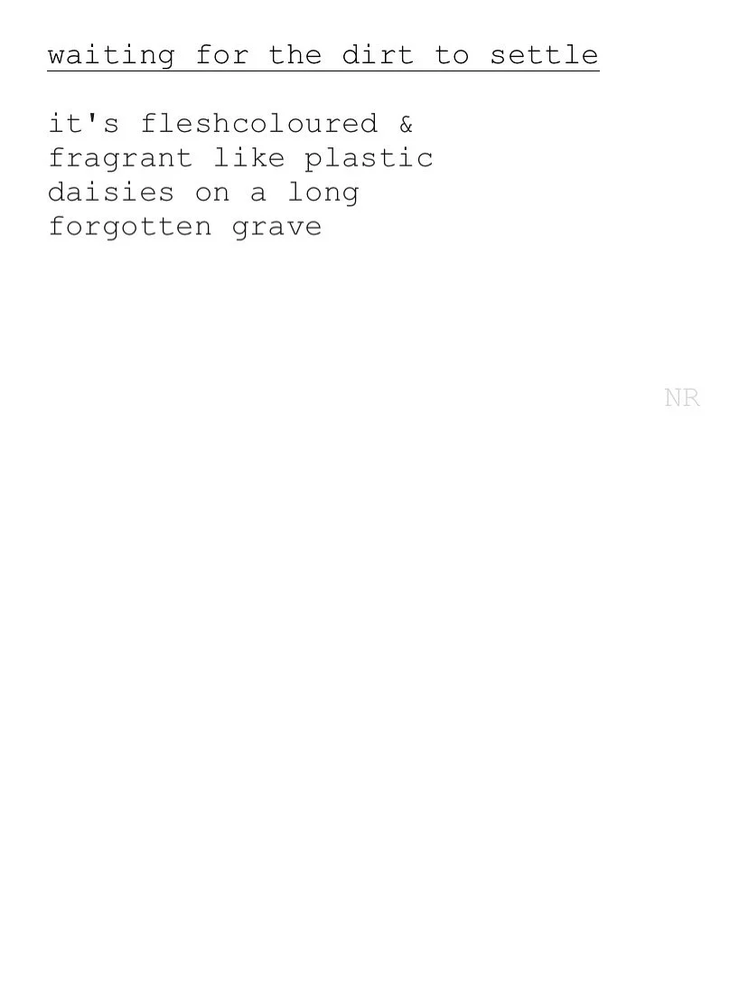 day 218: waiting for the dirt to settle