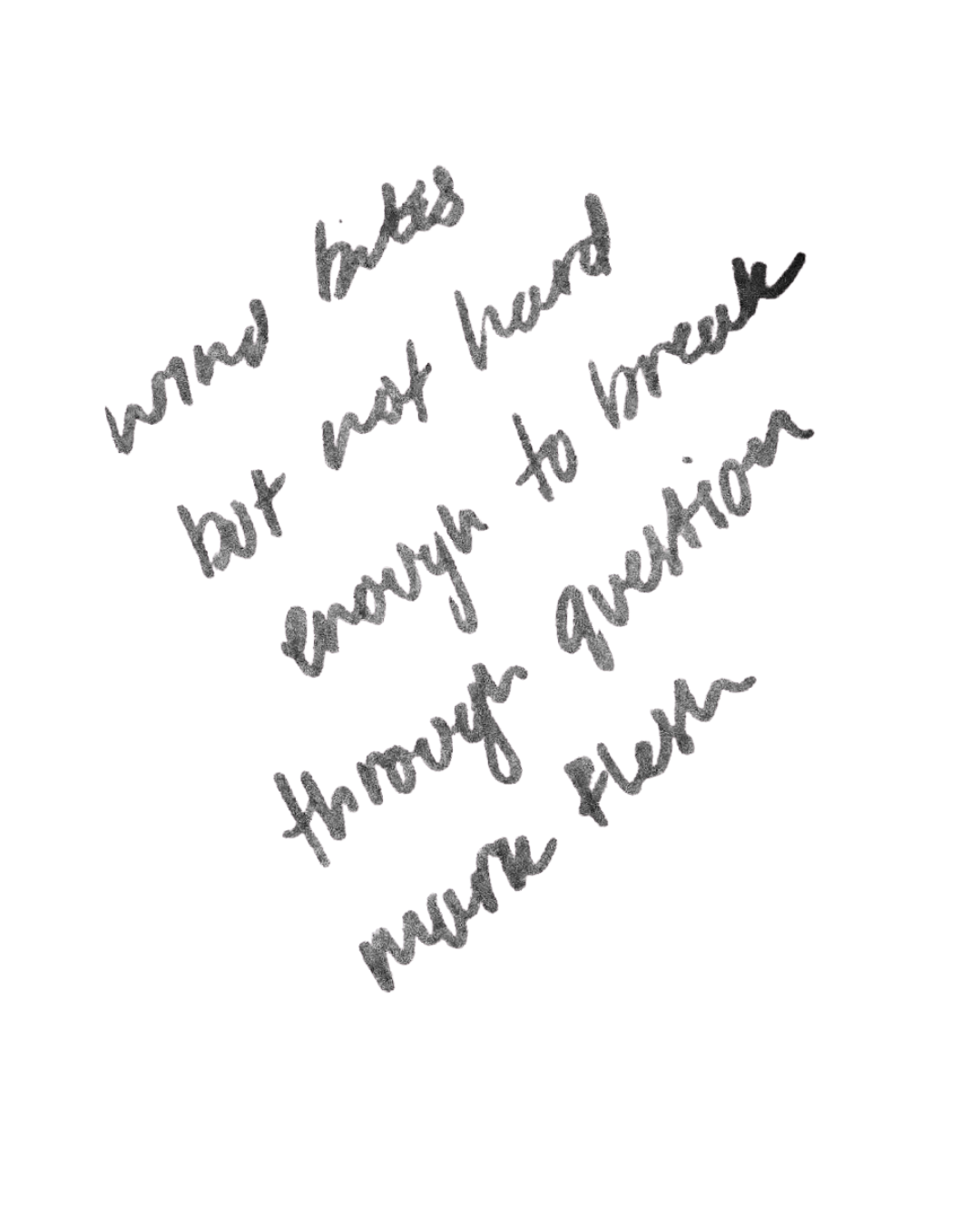 day 224: untitled