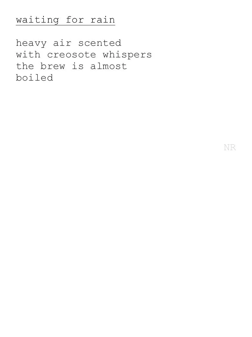 day 243: waiting for rain