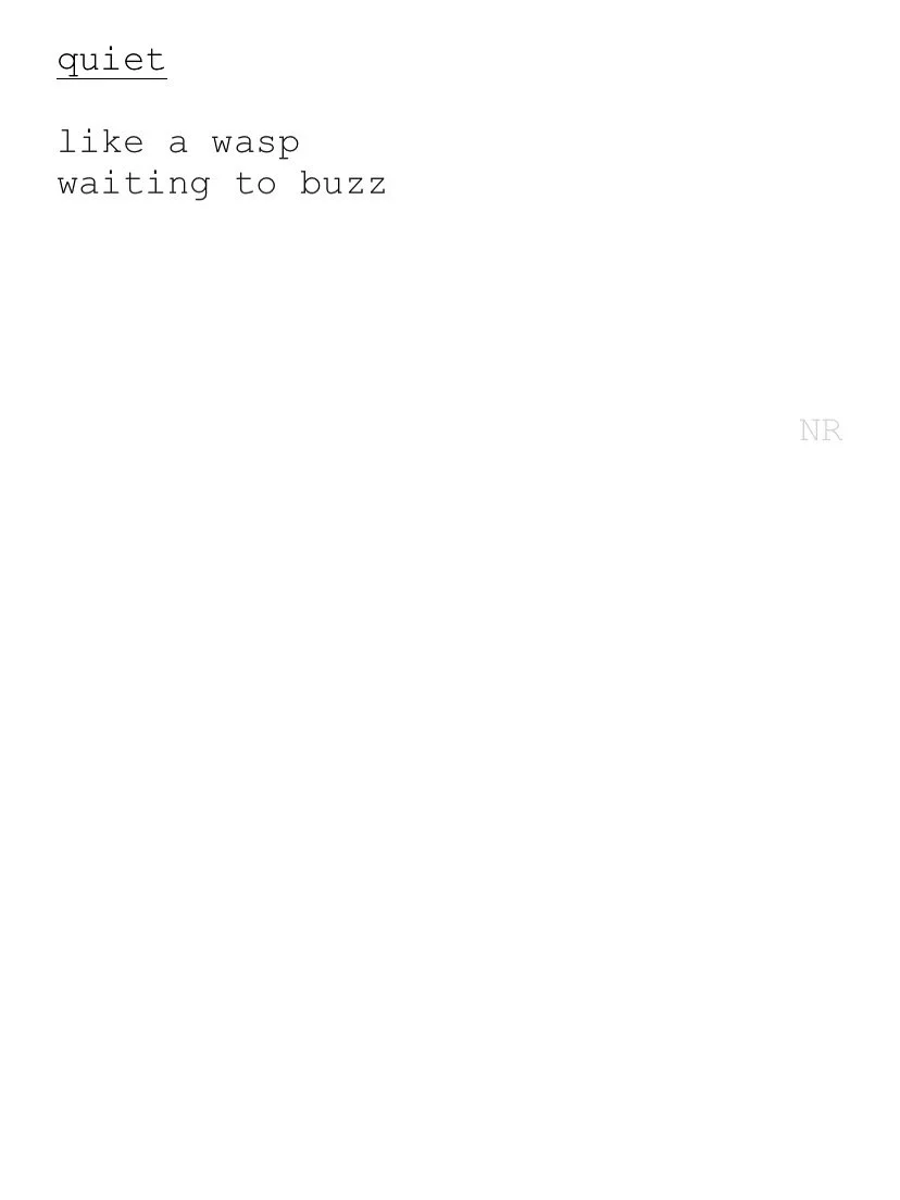 day 244: quiet