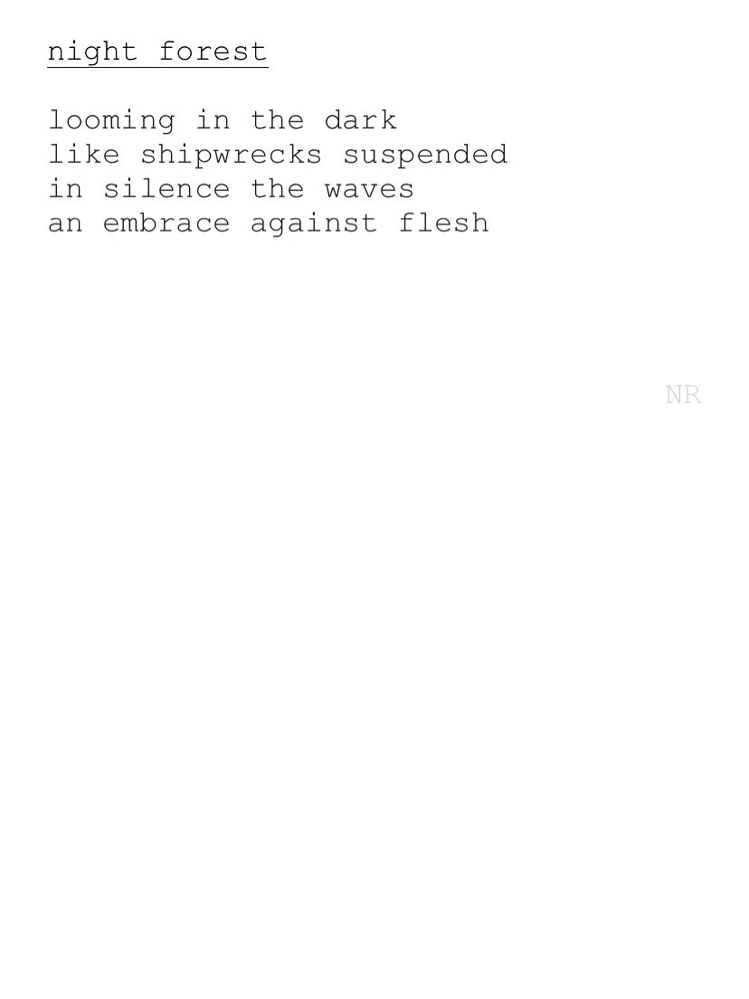 day 254: night forest