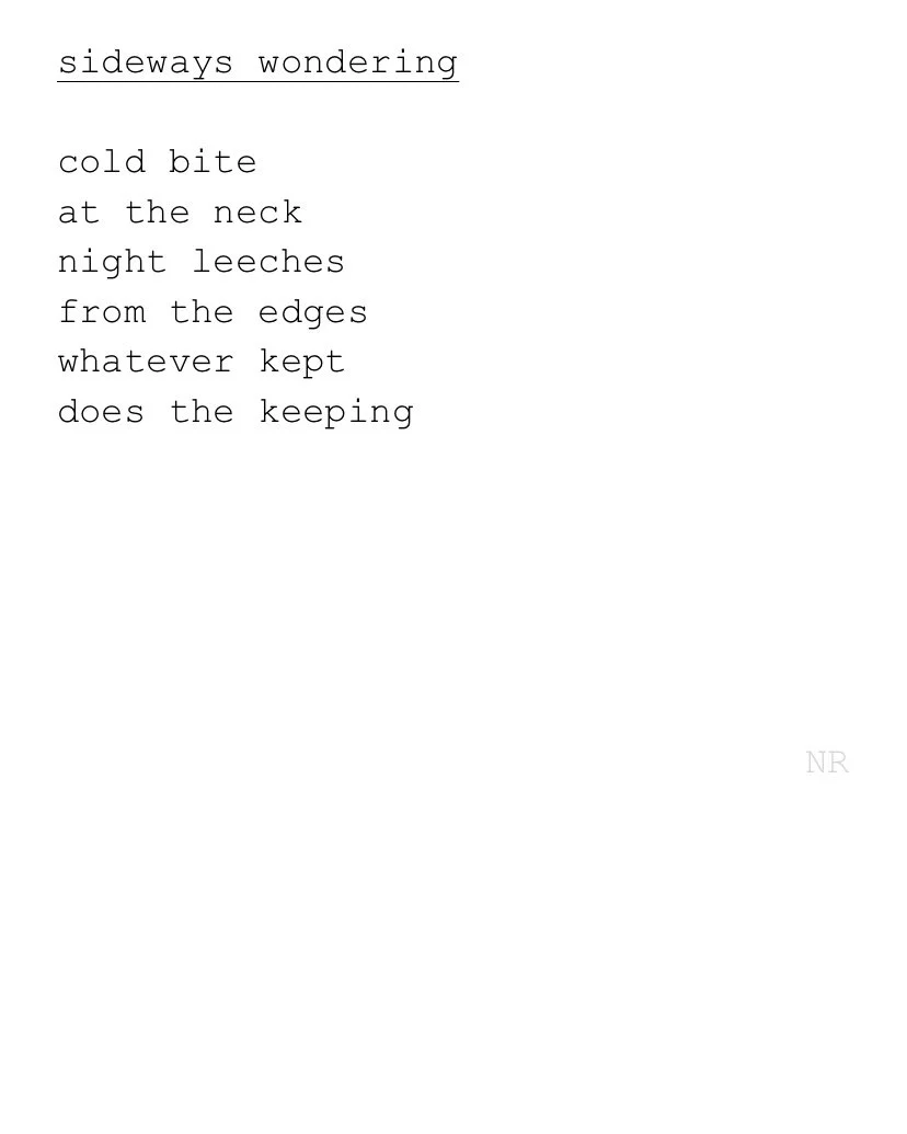 day 282: sideways wondering