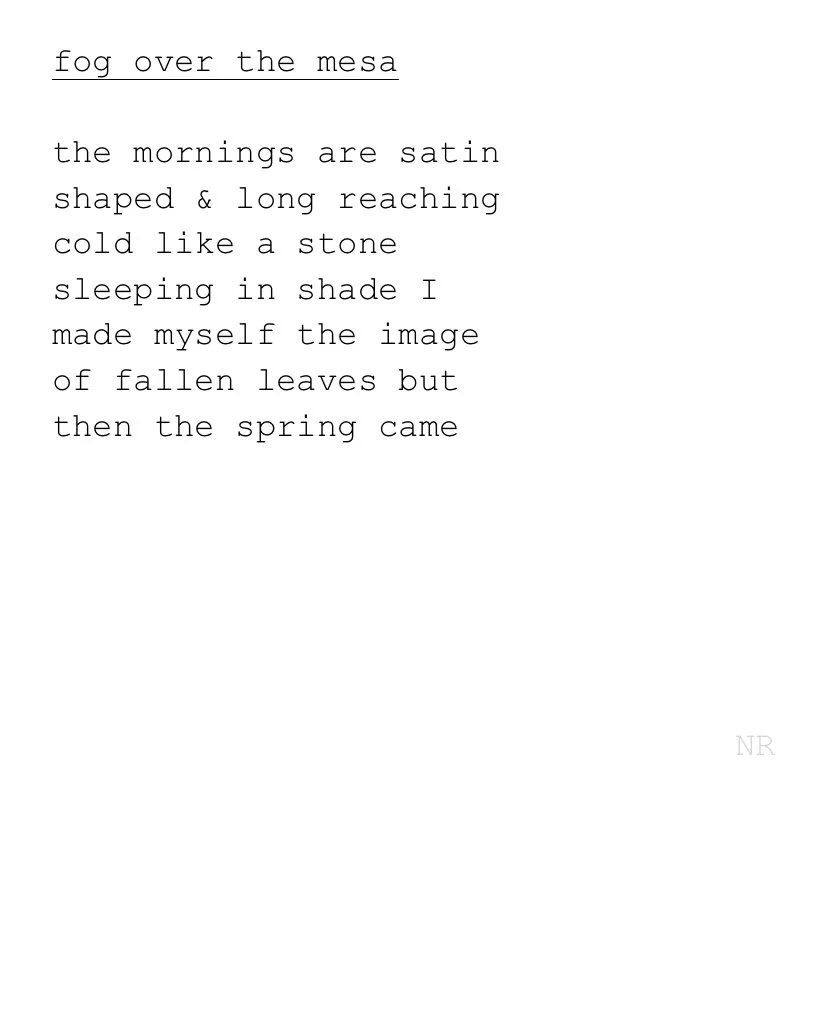 day 286: fog over the mesa