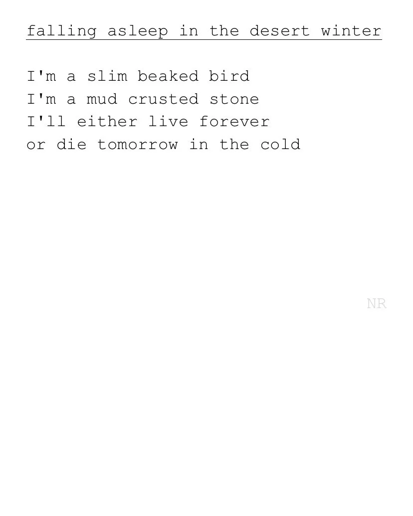 day 288: falling asleep in the desert winter