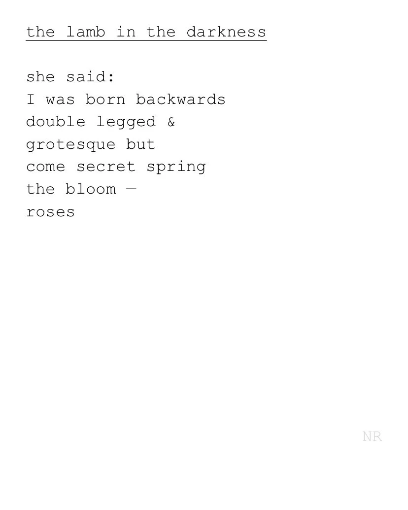 day 313: the lamb in the darkness