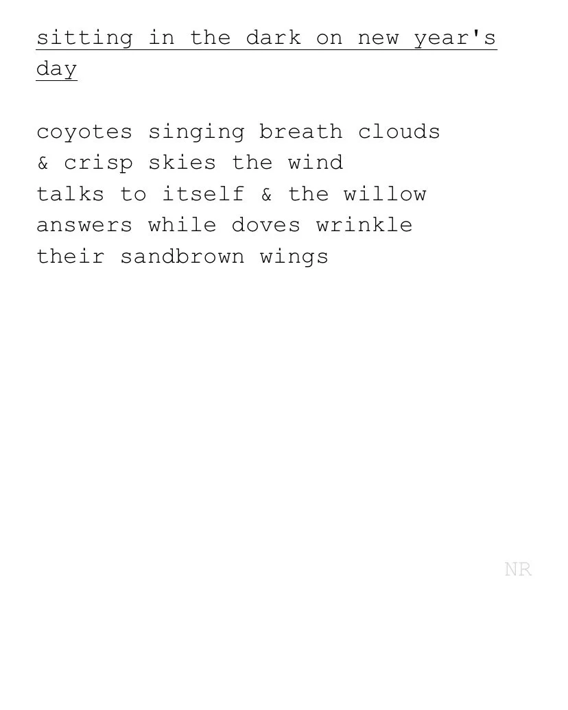 day 328: sitting in the dark on new year's day