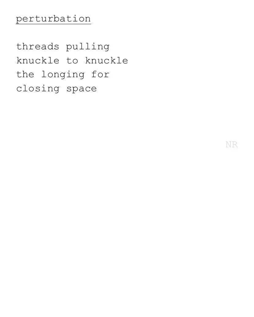 day 341: perturbation