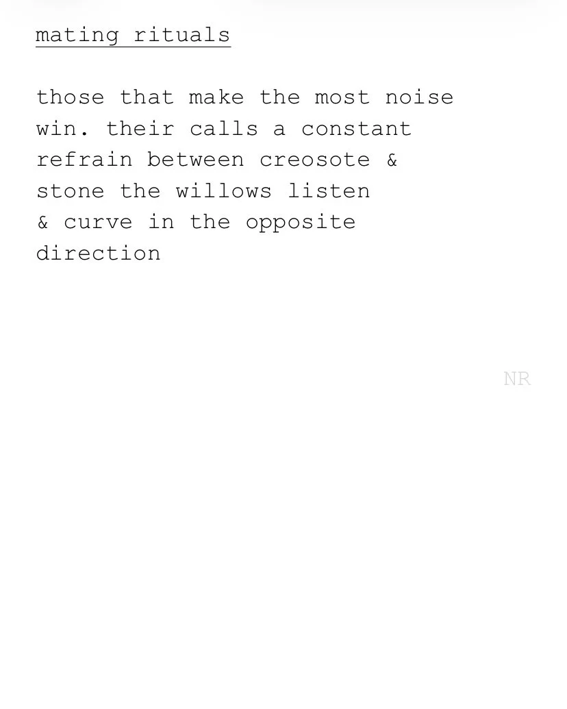 day 374: mating rituals