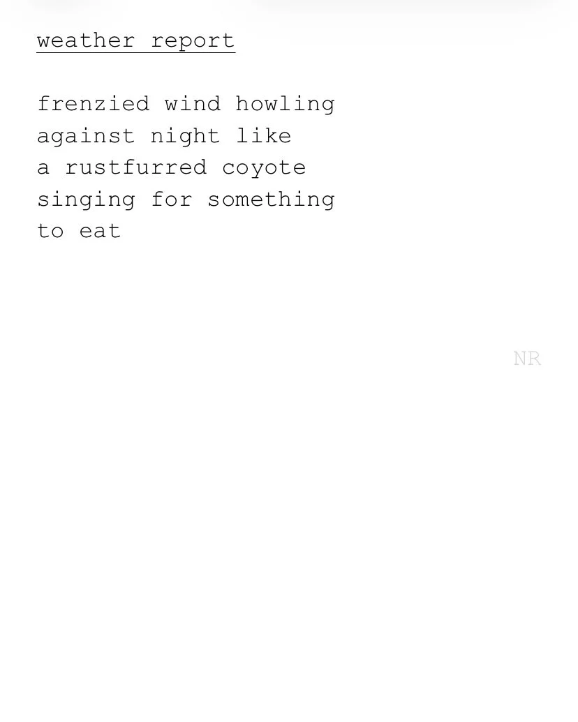 day 375: weather report