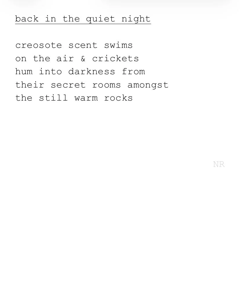 day 395: back in the quiet night