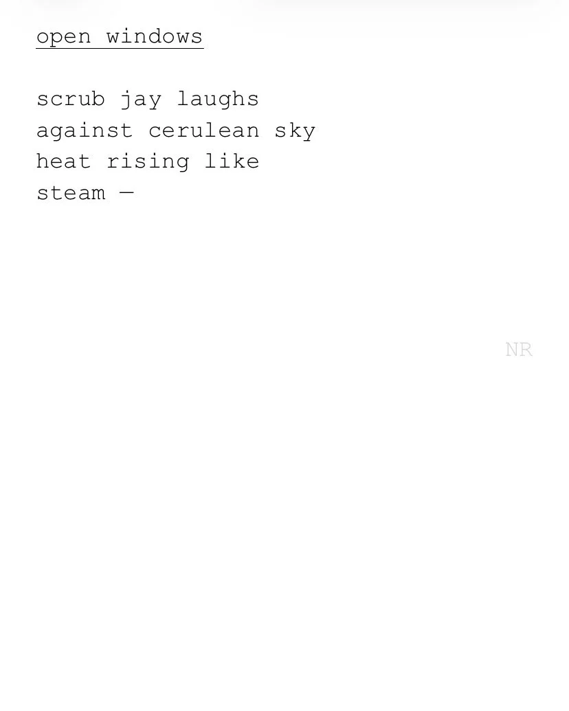 day 410: open windows