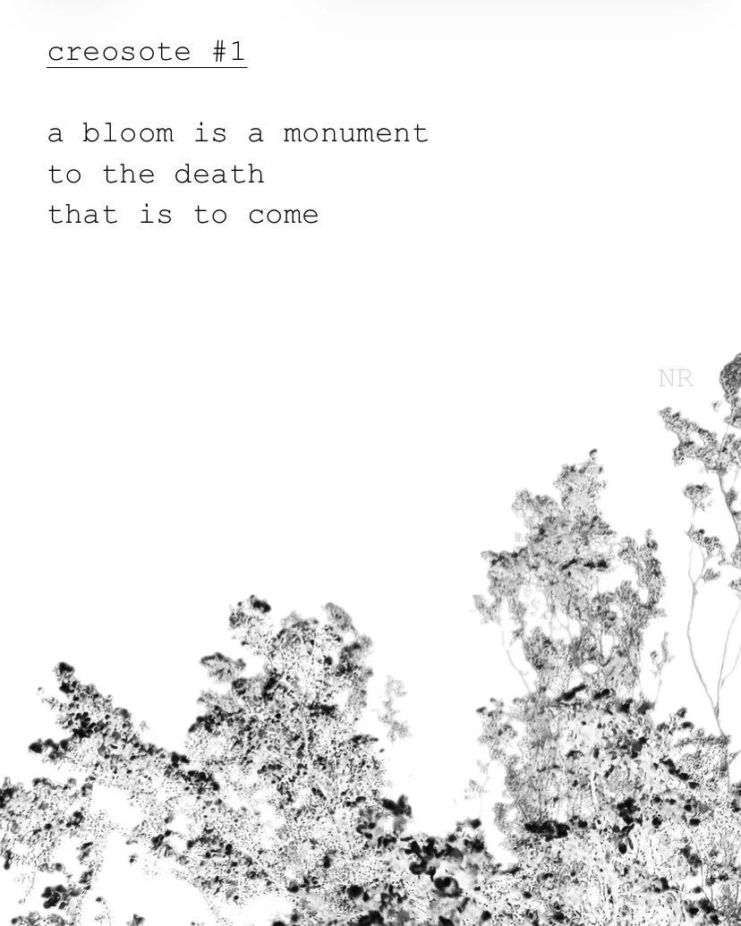 day 419: creosote # 1