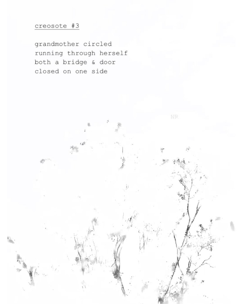 day 421: creosote # 3