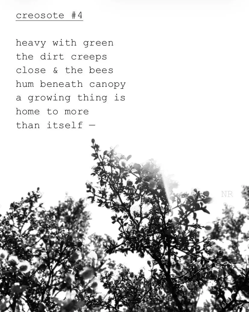 day 422: creosote # 4