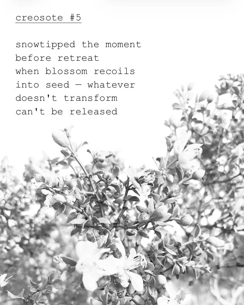 day 423: creosote # 5