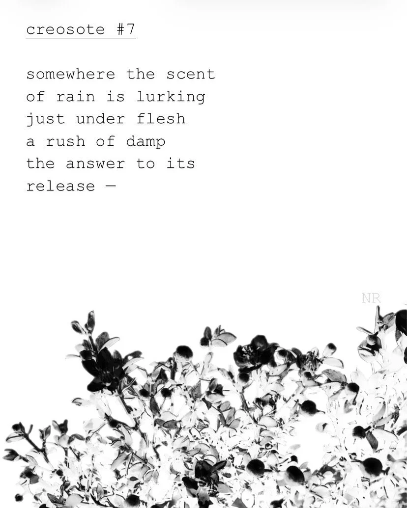 day 425: creosote # 7