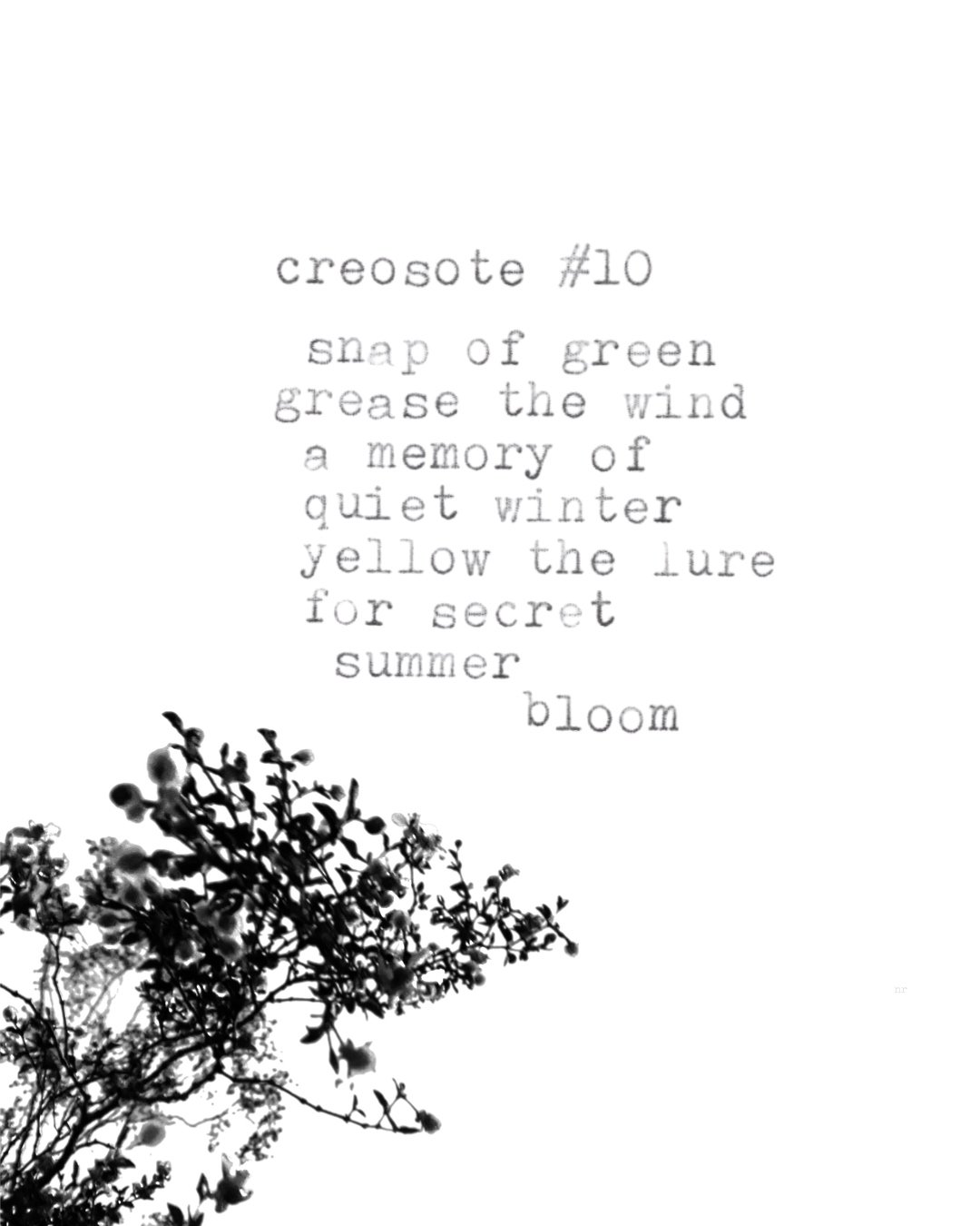 day 428: creosote # 10