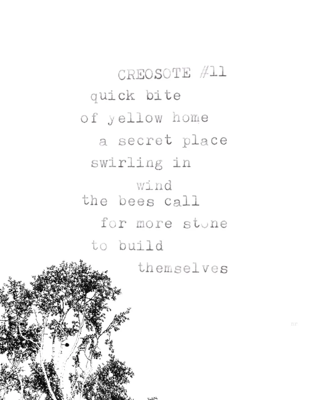 day 429: creosote # 11