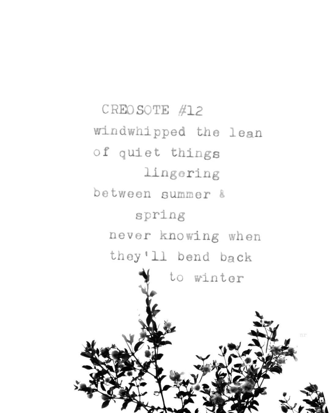 day 430: creosote # 12