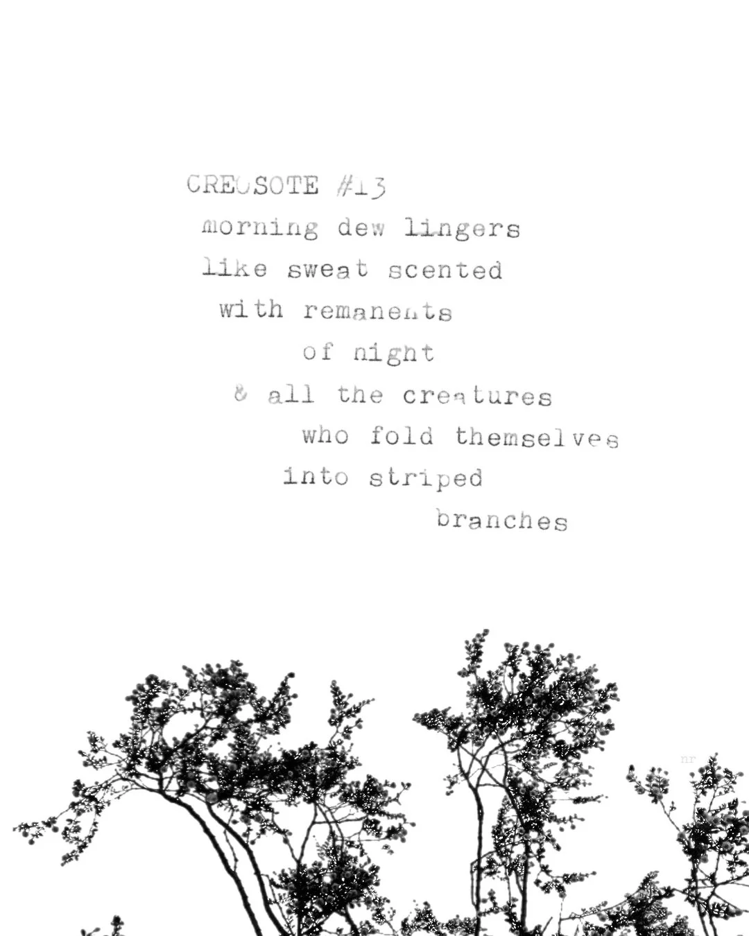 day 431: creosote # 13