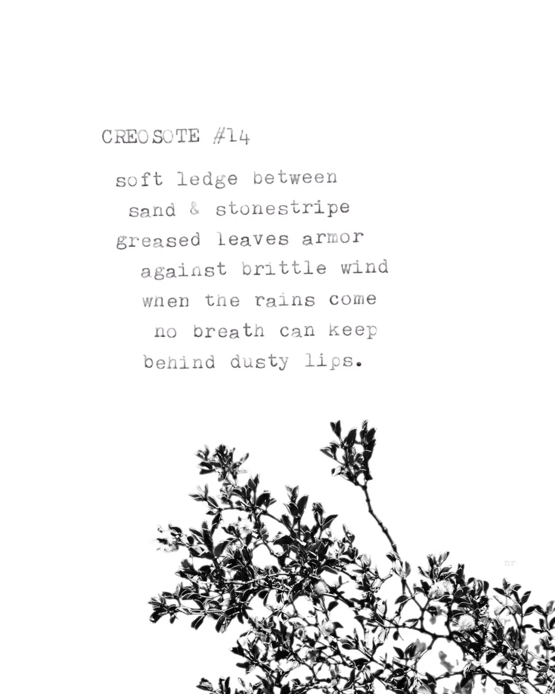 day 432: creosote # 14