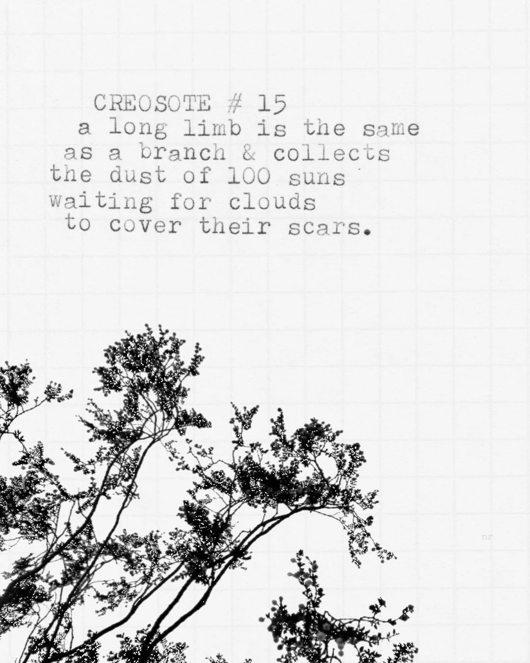 day 433: creosote # 15