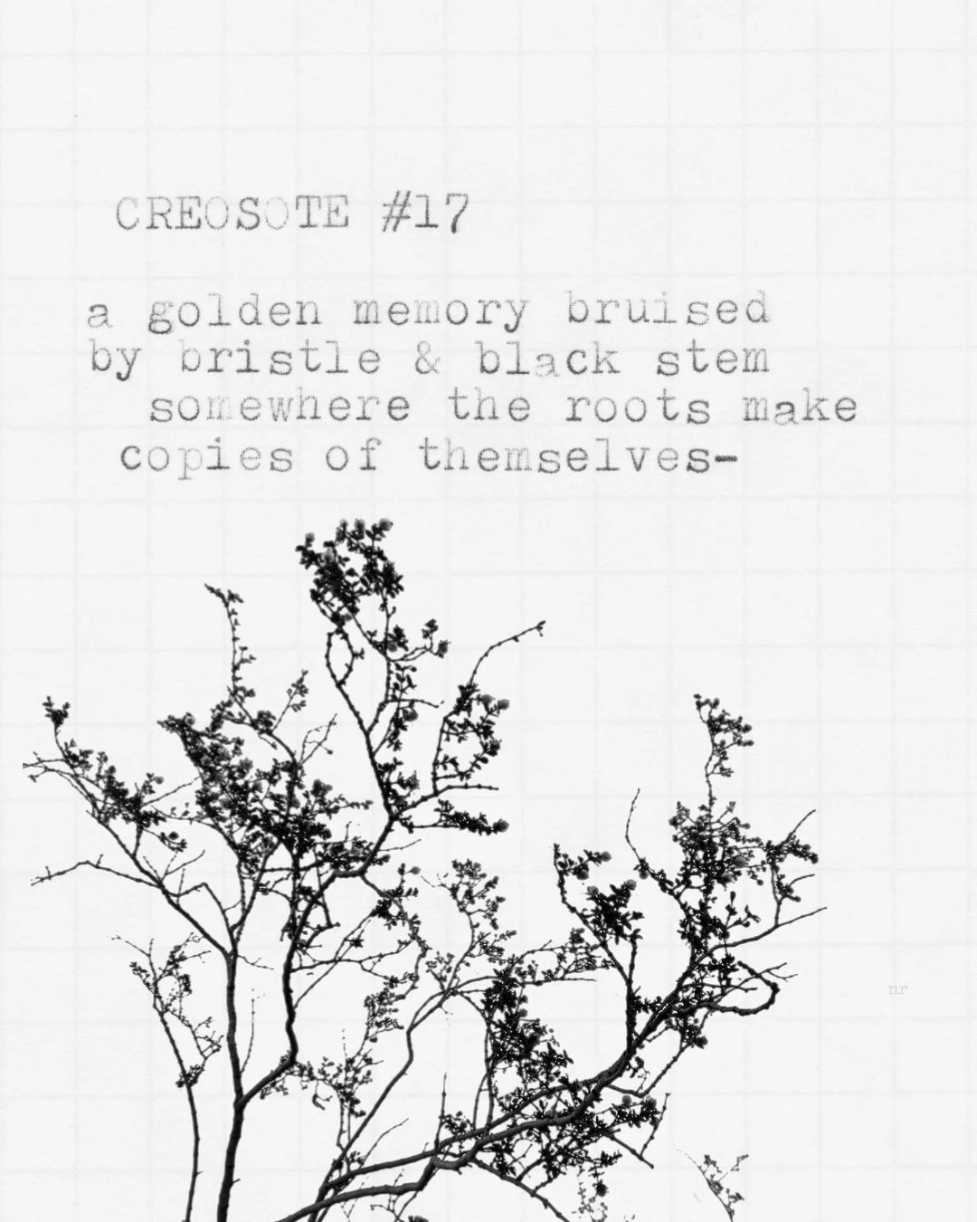day 435: creosote # 17
