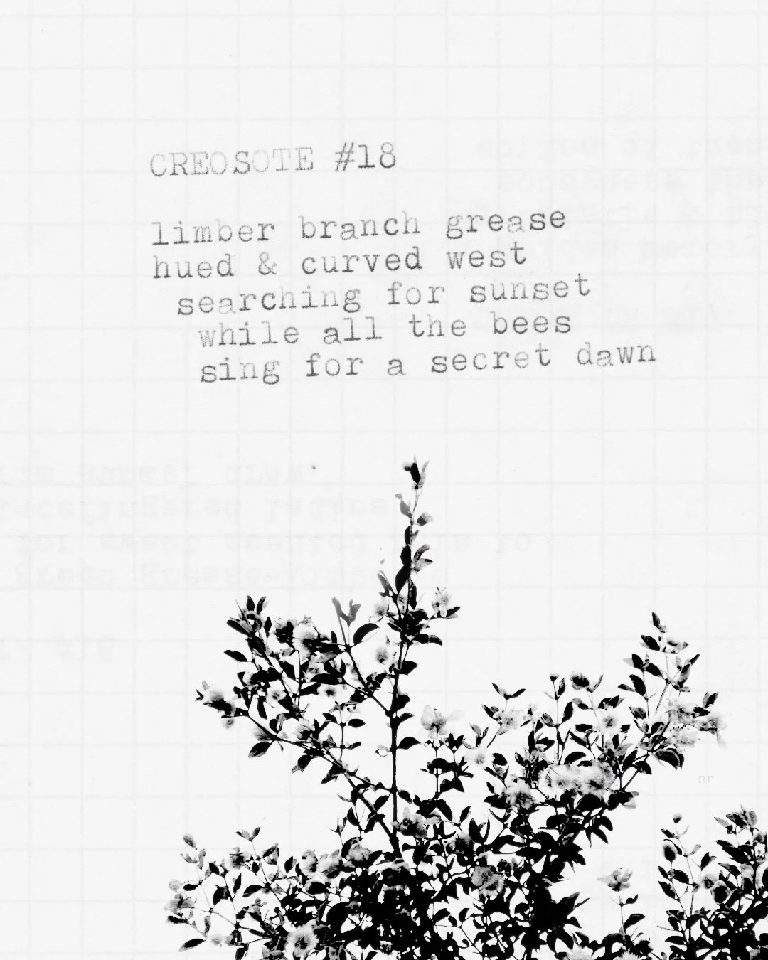 day 436: creosote # 18