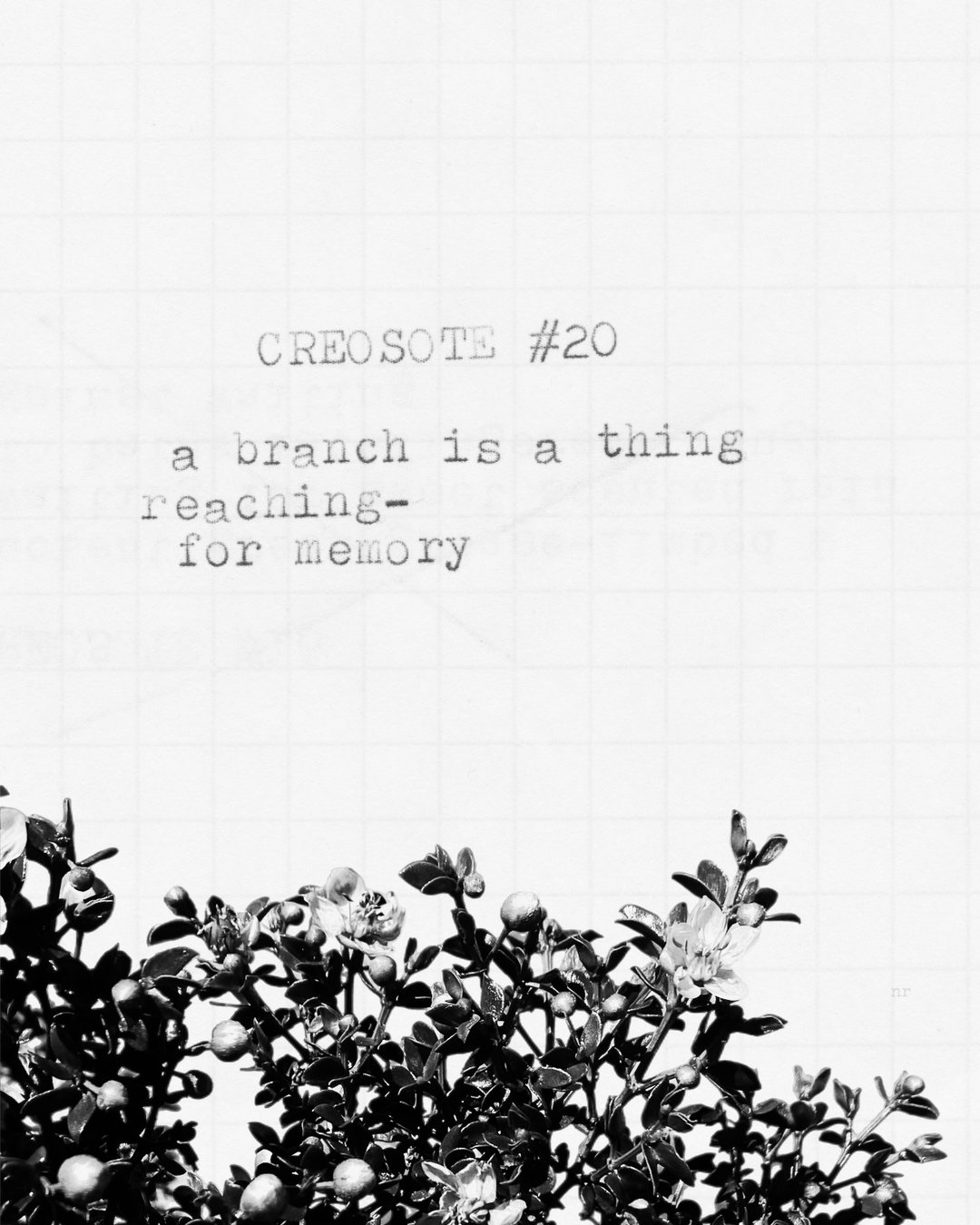 day 438: creosote # 20