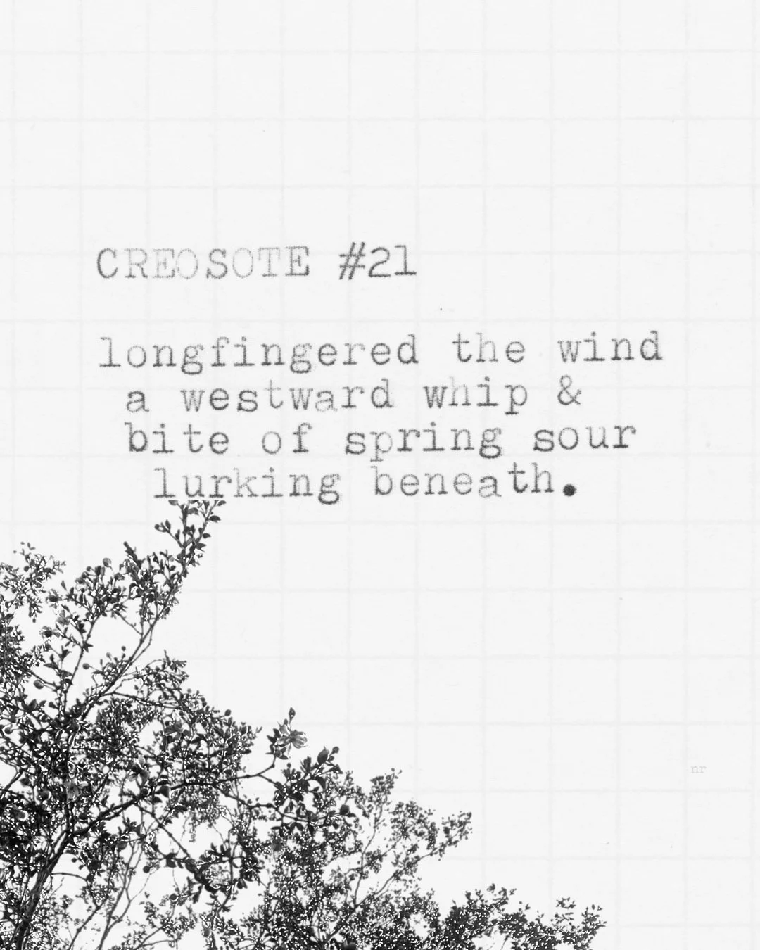 day 439: creosote # 21
