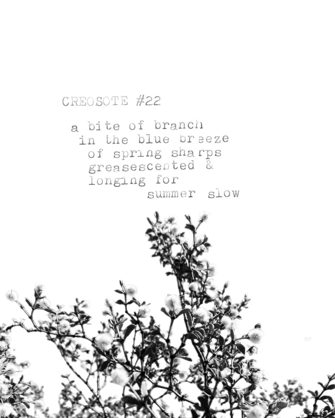 day 440: creosote # 22