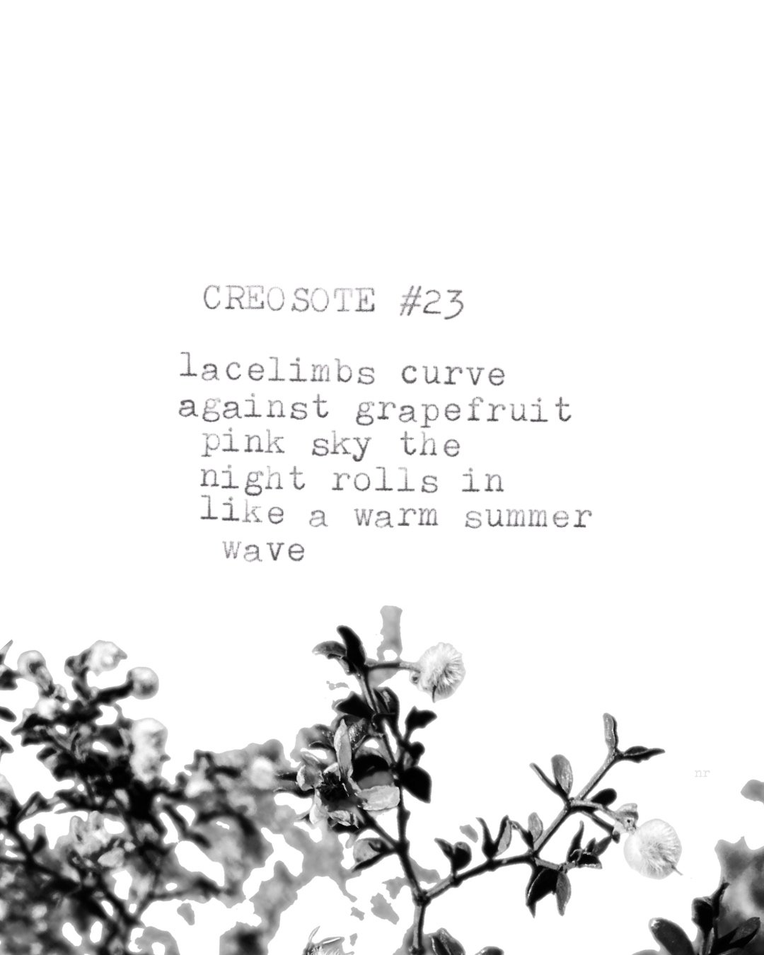 day 441: creosote # 23