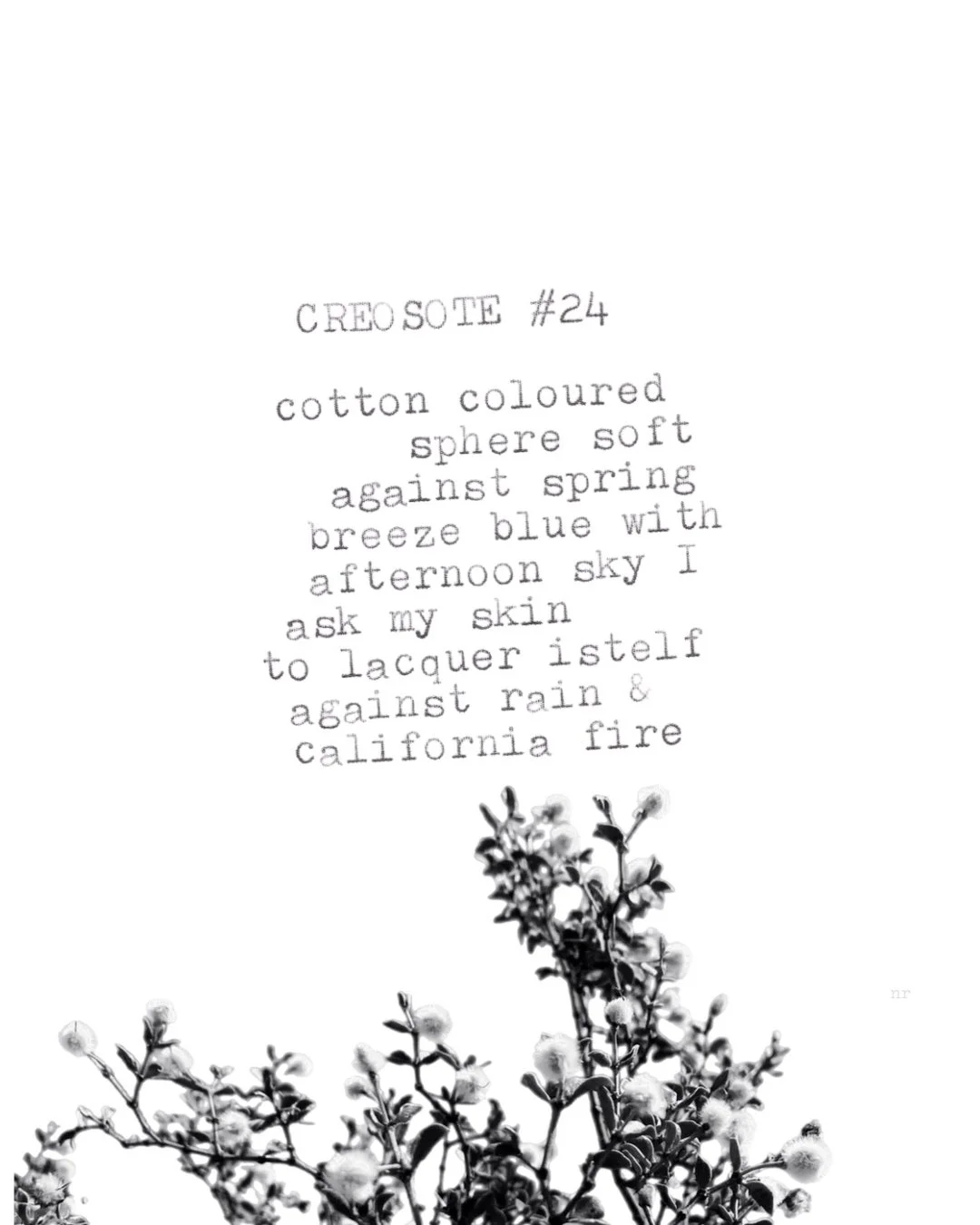 day 442: creosote # 24