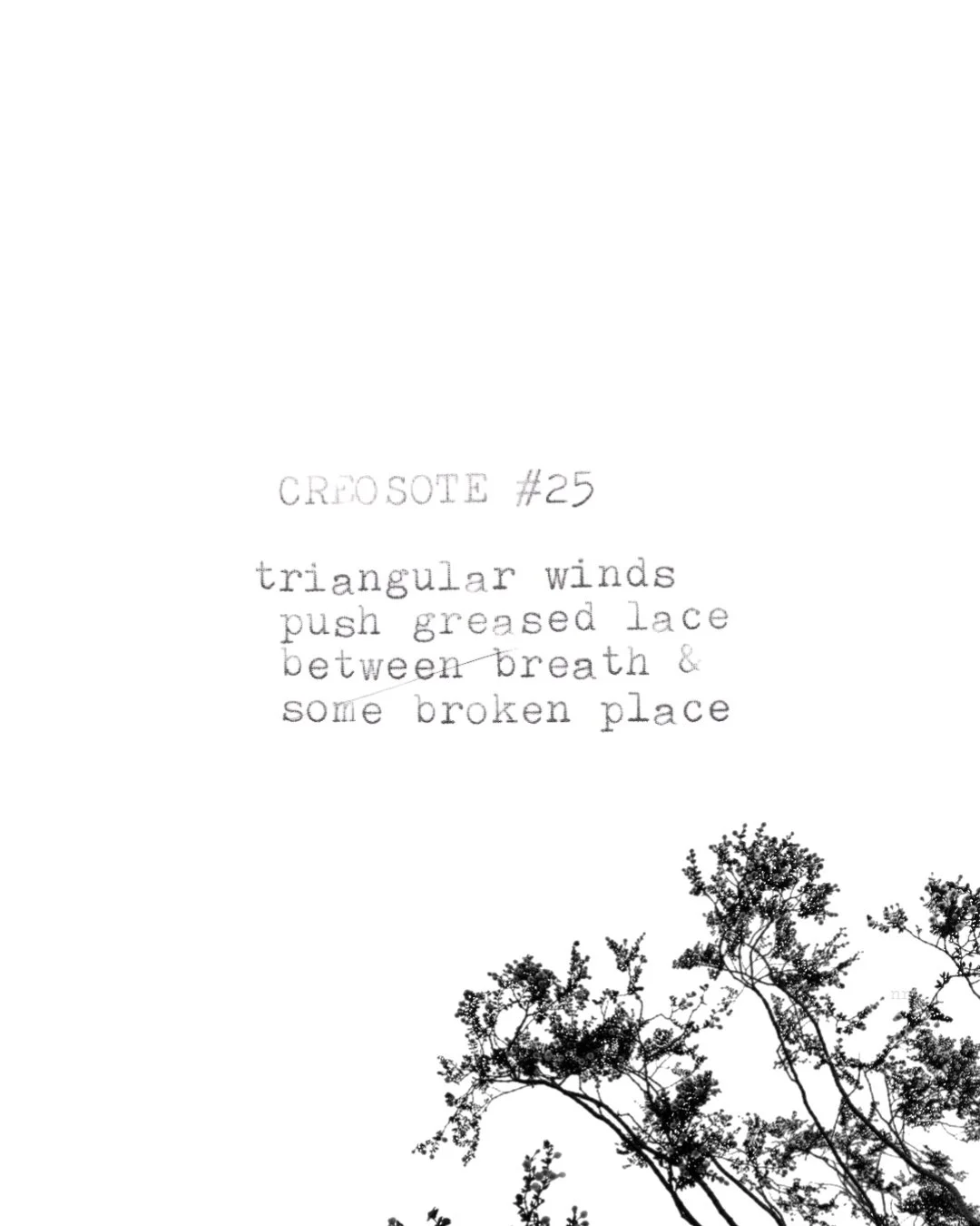 day 443: creosote # 25