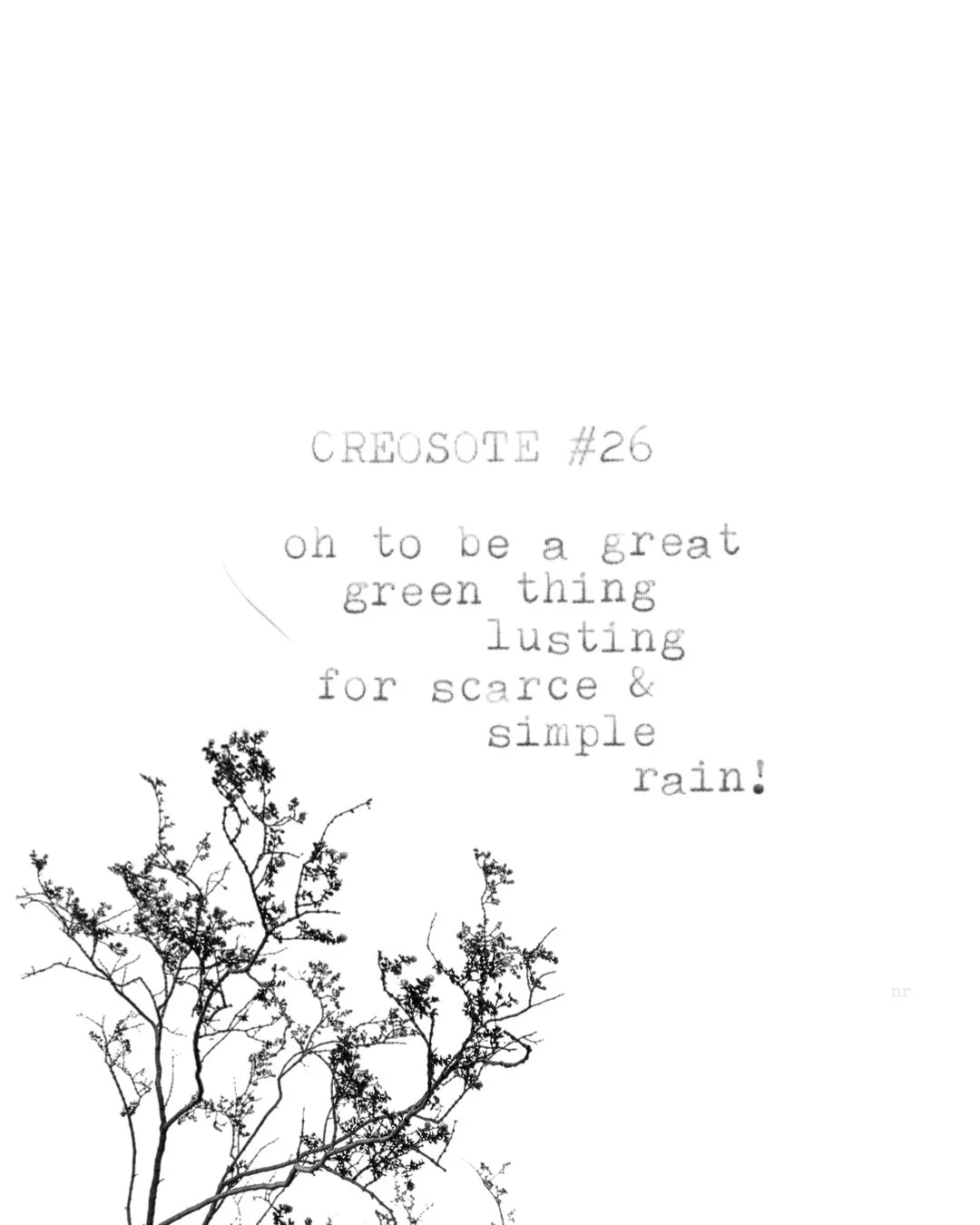 day 444: creosote # 26