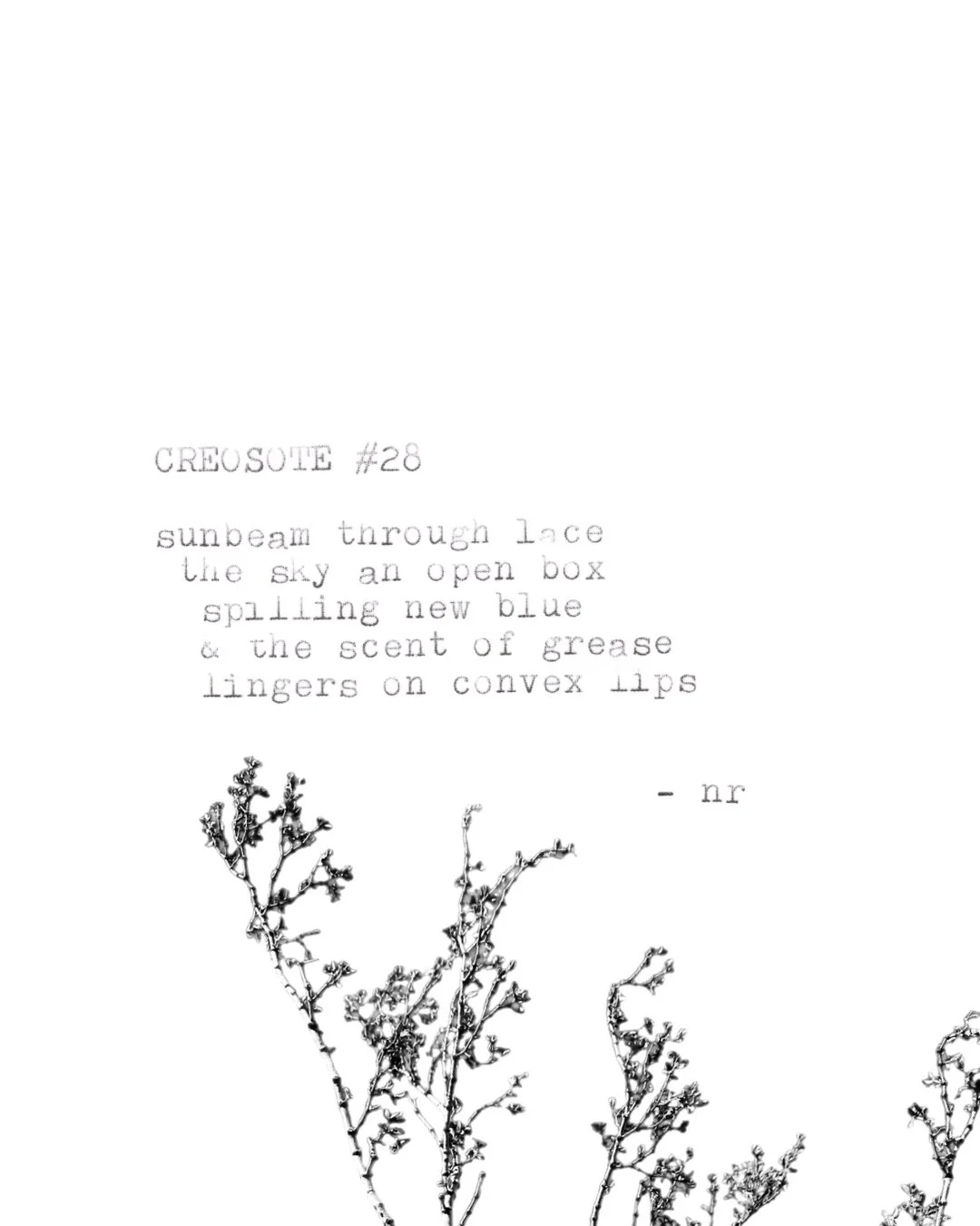 day 446: creosote # 28