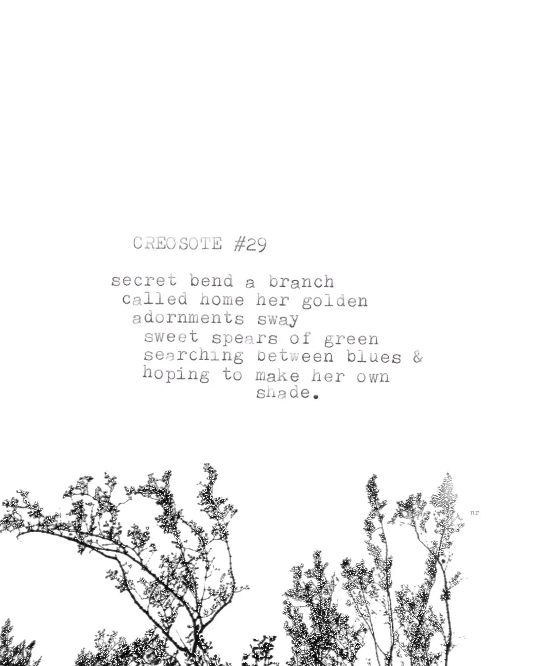 day 447: creosote # 29