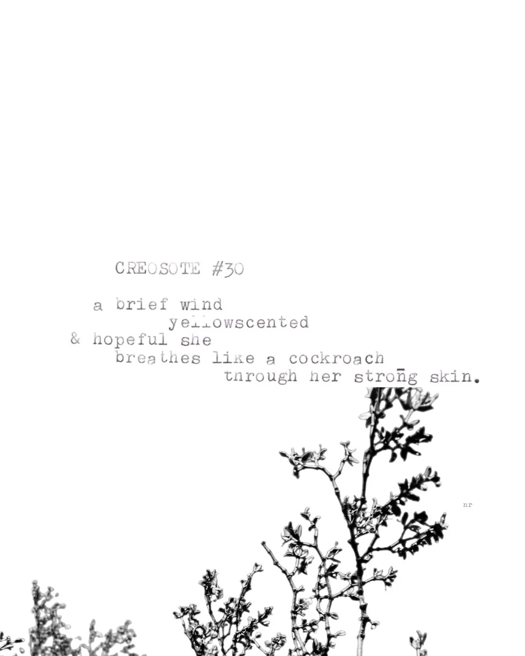 day 448: creosote # 30