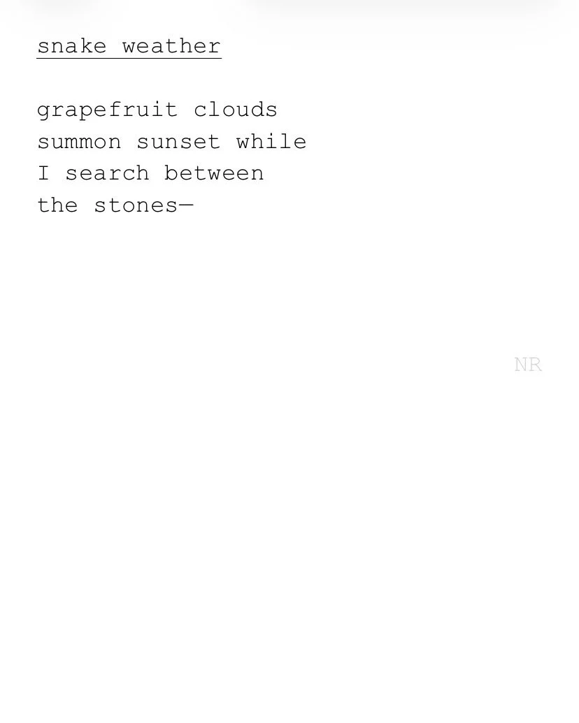 day 451: snake weather