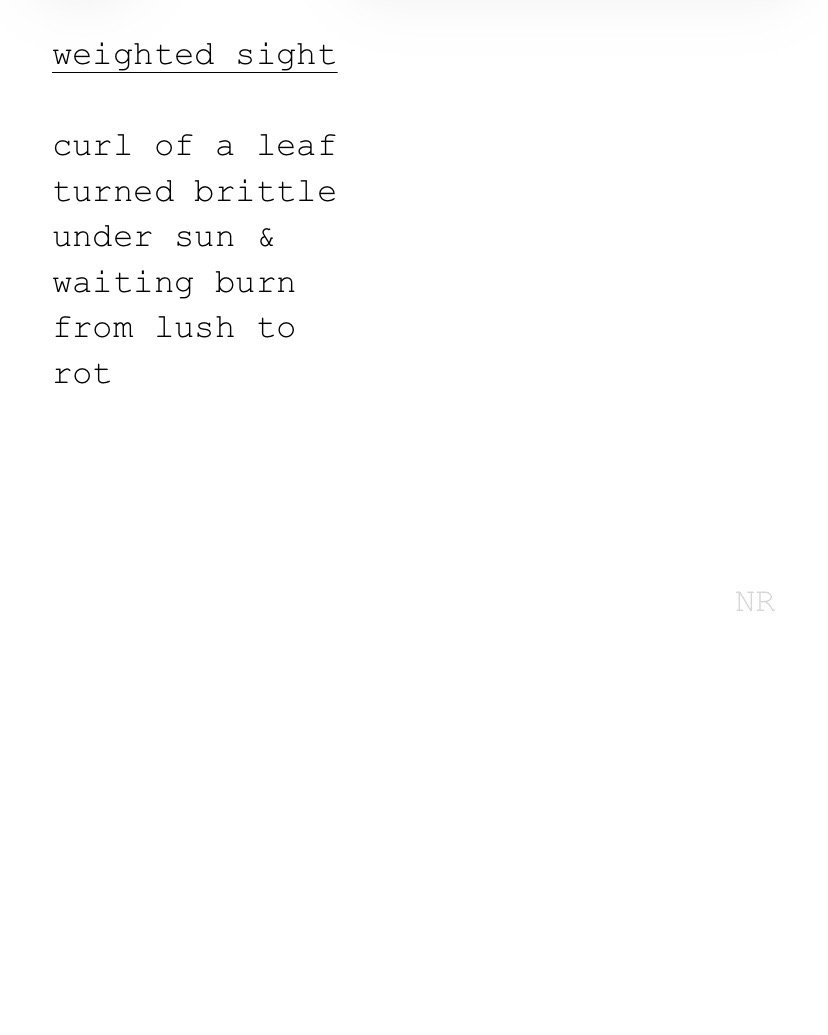 day 454: weighted sight