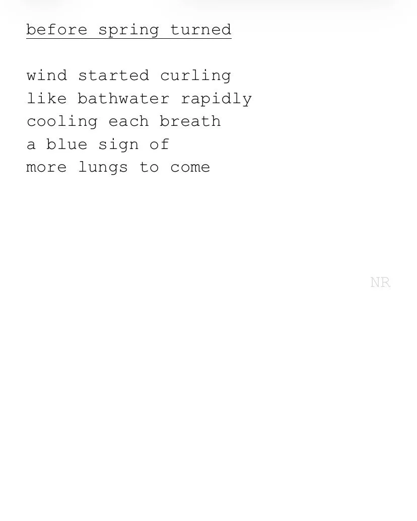 day 456: before spring turned