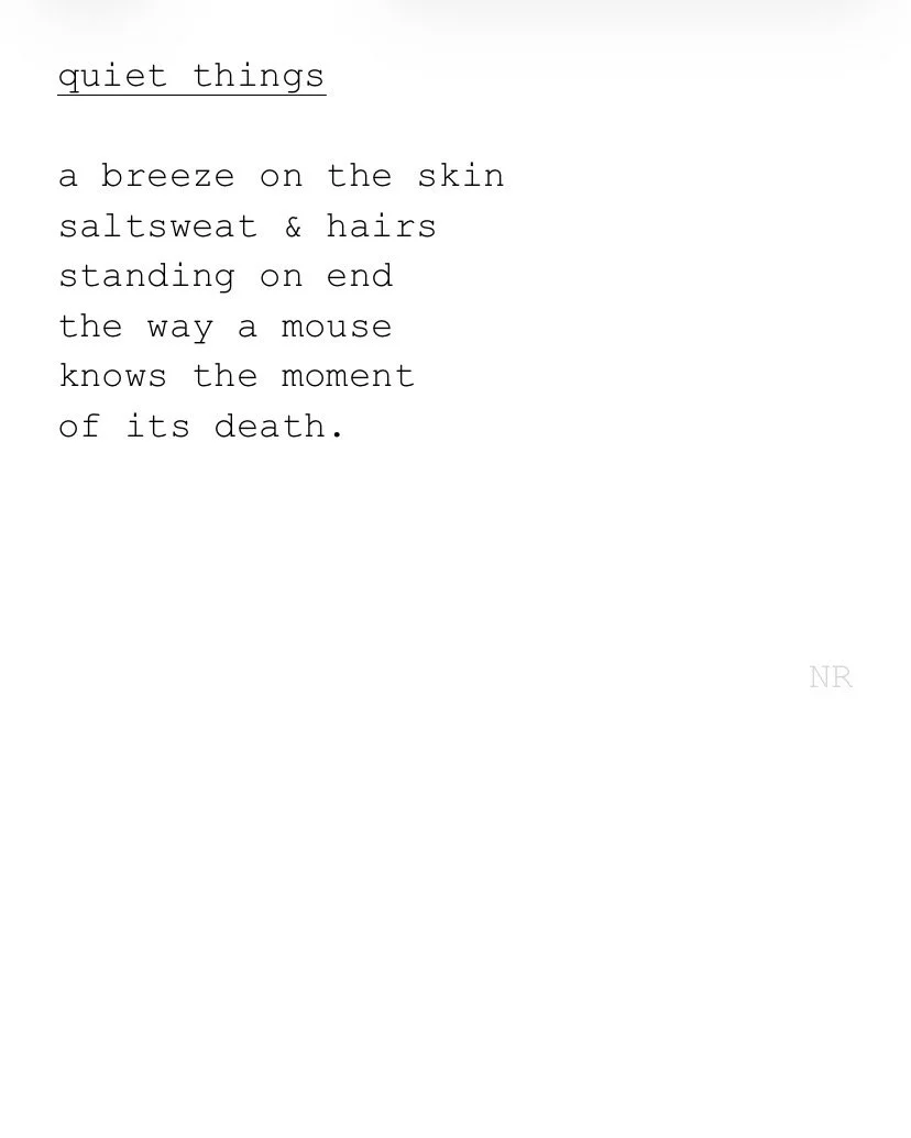 day 457: quiet things