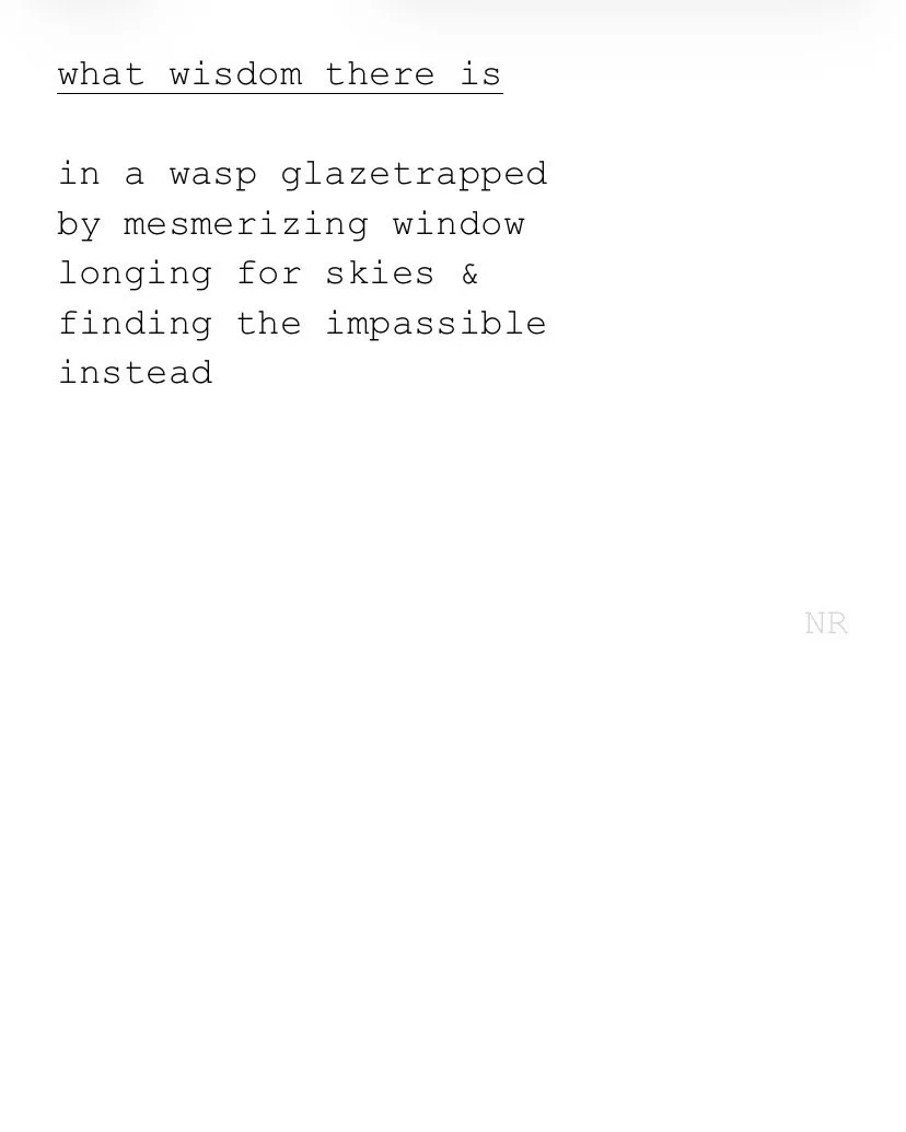 day 459: what wisdom there is