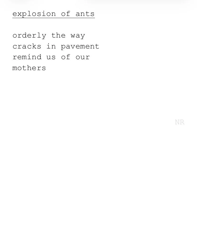 day 462: explosion of ants