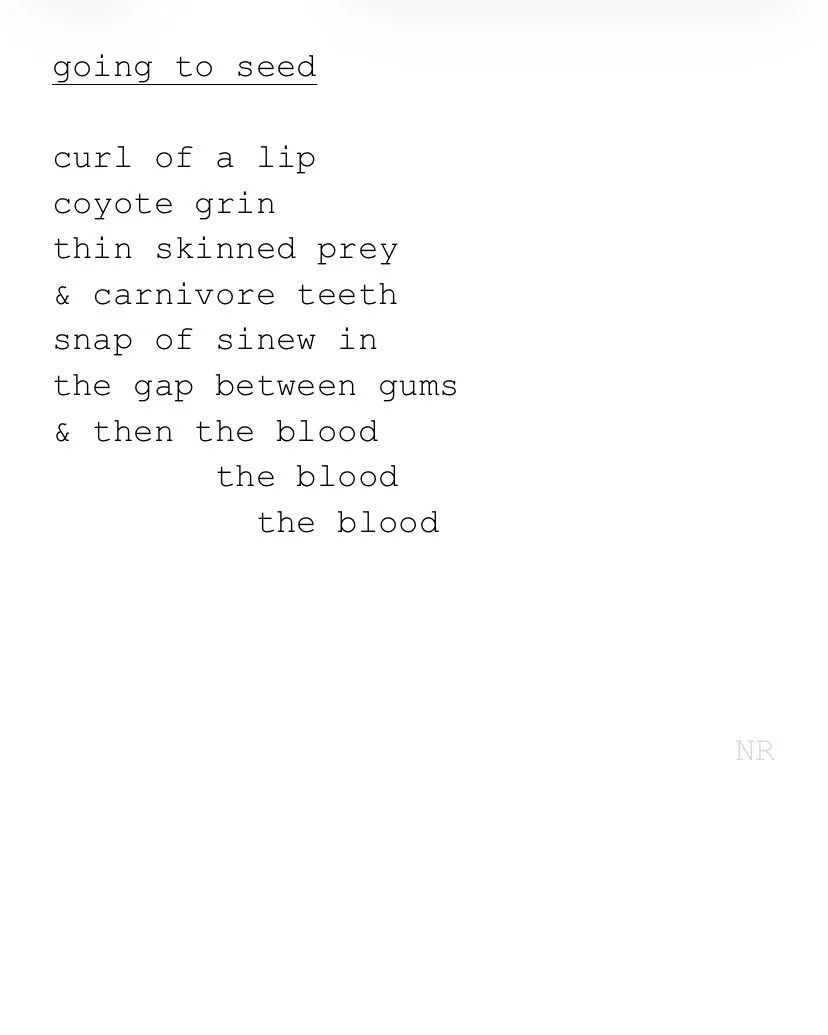 day 473: going to seed