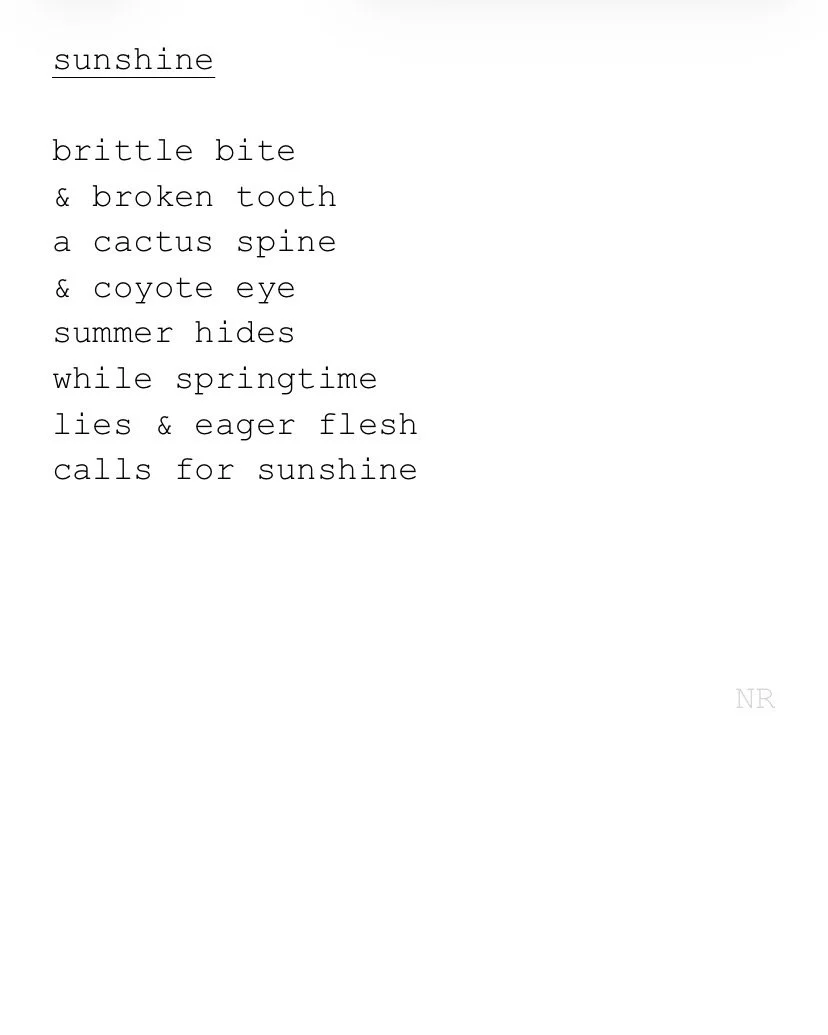 day 475: sunshine
