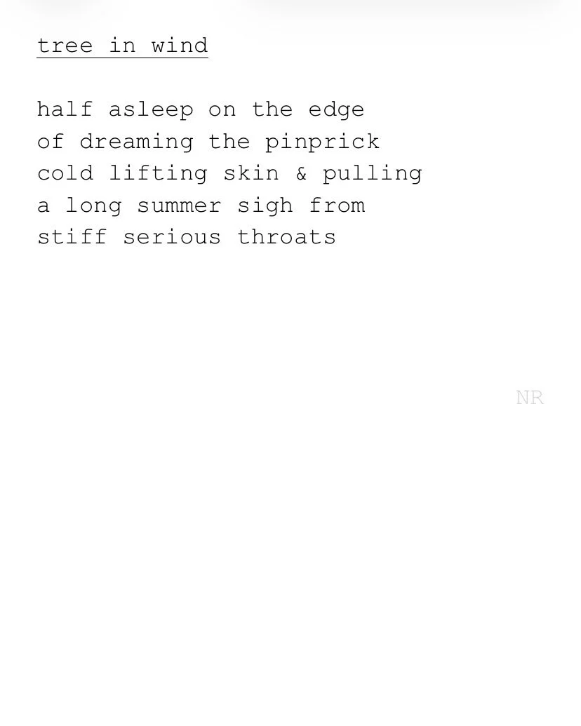 day 477: tree in wind